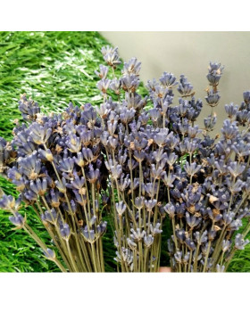 Лаванда - букет сухоцвет 10-12г-foto2