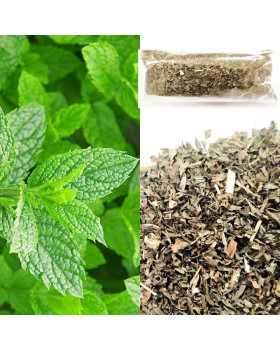 М'ята перцева суха 20г М'ята перцева суха 20г