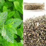 М'ята перцева суха 20г