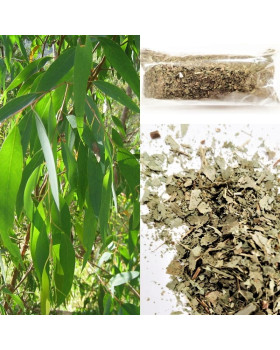 Эвкалипт сухой (листья) 20г