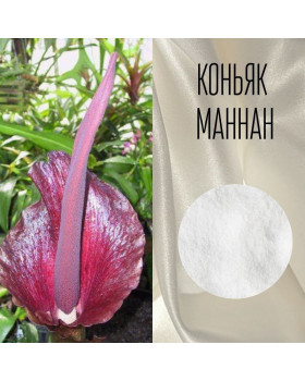 Коньяк маннан, конжак маннан (глюкоманнан) Китай - 10г