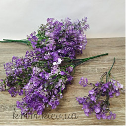 Гіпсофіла 1 в асортименті - Бузковий, гілка-foto3