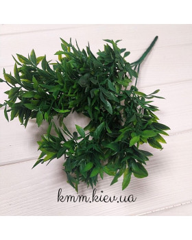 Рускус 2 в асортименті - Світло-зелений, гілка-foto5