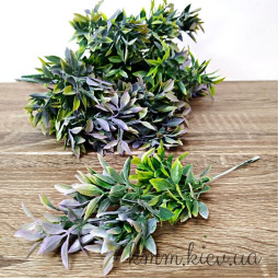 Рускус 2 в асортименті - Світло-зелений, гілка-foto4