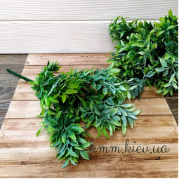 Рускус 2 в асортименті - Світло-зелений, гілка-foto3