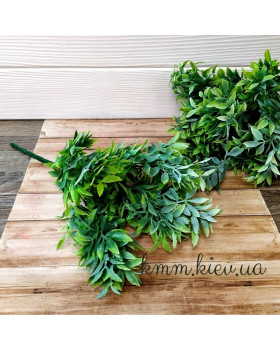 Рускус 2 в асортименті - Світло-зелений, гілка-foto3