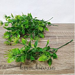 Листя з колючою квіткою в асортименті - Зелений, гілка-foto2