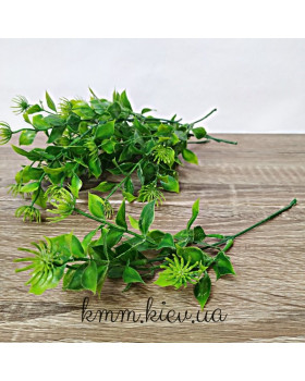 Листя з колючою квіткою в асортименті - Зелений, гілка-foto2