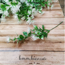 Листя з колючою квіткою в асортименті - Зелений, гілка-foto3