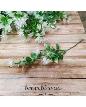 Листя з колючою квіткою в асортименті - Зелений, гілка-foto3
