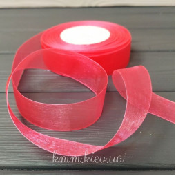 Лента из органзы 25мм в ассортименте (1м) - Бежевый-foto4