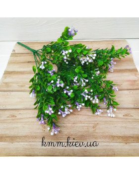 Самшит з кольоровими ягодами в асортименті - Рожевий, гілка-foto3