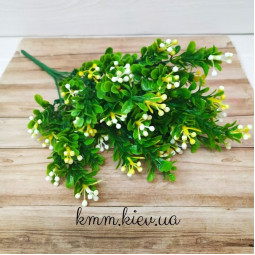 Самшит з кольоровими ягодами в асортименті - Рожевий, гілка-foto4