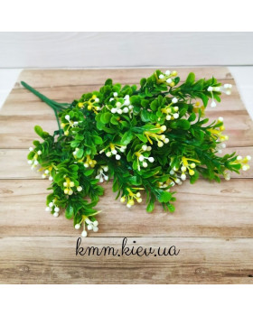 Самшит з кольоровими ягодами в асортименті - Рожевий, гілка-foto4