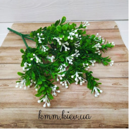 Самшит з кольоровими ягодами в асортименті - Рожевий, гілка-foto5