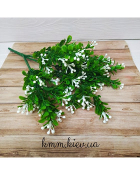 Самшит з кольоровими ягодами в асортименті - Рожевий, гілка-foto5