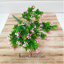 Самшит з кольоровими ягодами в асортименті - Рожевий, гілка-foto6