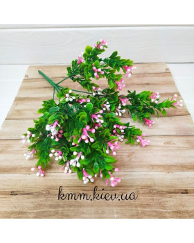 Самшит з кольоровими ягодами в асортименті - Рожевий, гілка-foto6