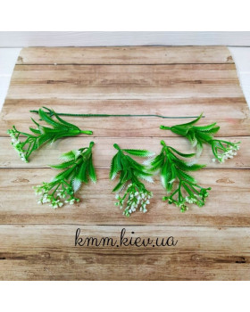 Кашка з колючим листом декоративна в асортименті - Жовтий-foto2