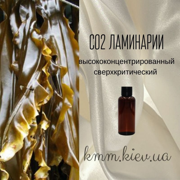 СО2-екстракт Ламінарії висококонцентрований надкритичний (5г)