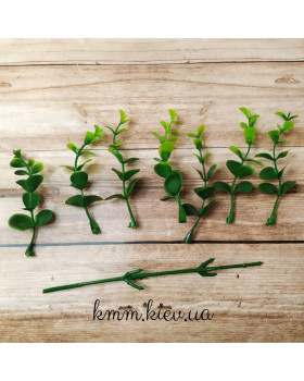 Евкаліпт зелений дрібний декоративний - гілка-foto2