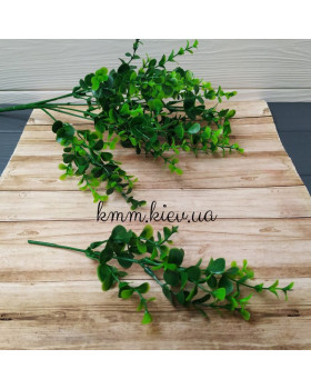 Евкаліпт зелений дрібний декоративний - гілка