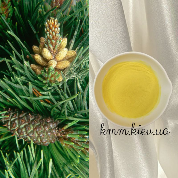 Пилок сосни (5г, 10г) – 5г Пилок сосни (5г, 10г) – 5г