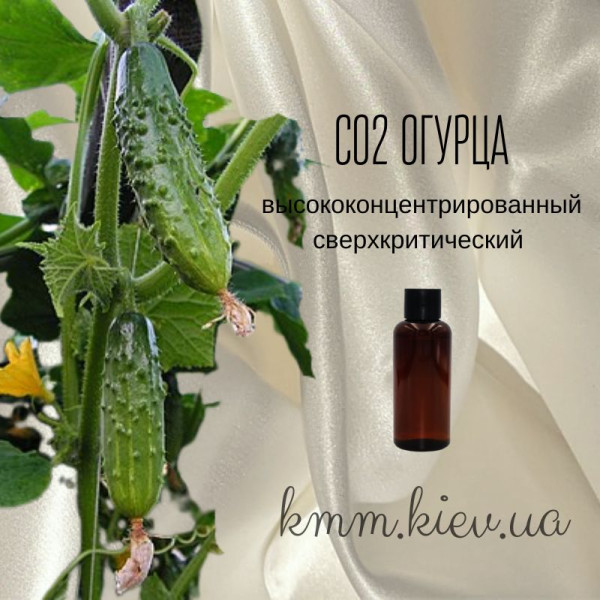 СО2-екстракт Огірка висококонцентрований надкритичний (5г)