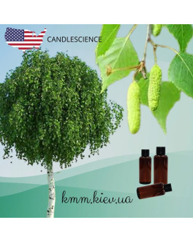 Віддушка Біла Береза ​​(з нотками сосни, кипарису та евкаліпту) США (Сandlescience) 5 мл