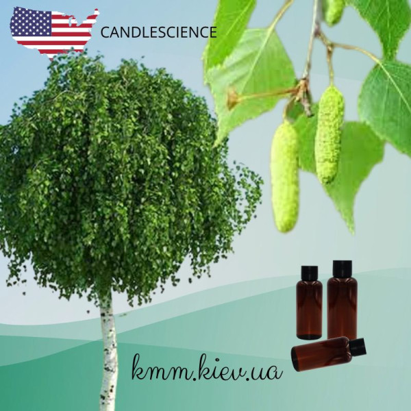 Віддушка Біла Береза ​​(з нотками сосни, кипарису та евкаліпту) США (Сandlescience) 5 мл