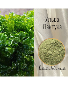 Пудра водоростей Ульва Лактука (аонорі) Китай - 10г