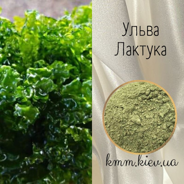 Пудра водоростей Ульва Лактука (аонорі) Китай - 10г