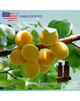Отдушка Абрикосовая роща США (Сandlescience) 5 мл