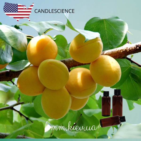 Отдушка Абрикосовая роща США (Сandlescience) 5 мл