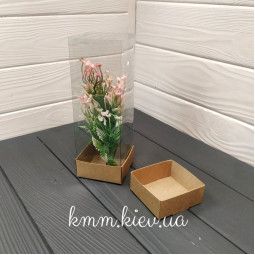 Коробка Панорама аквариум 68х70х200мм-foto2