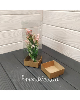 Коробка Панорама акваріум 68х70х200мм-foto2