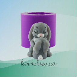 Силиконовая форма люкс 3D Зайка-мама и Зайка-малыш-foto3