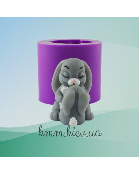 Силіконова форма люкс 3D Зайчик-мама та Зайчик-малюк-foto3