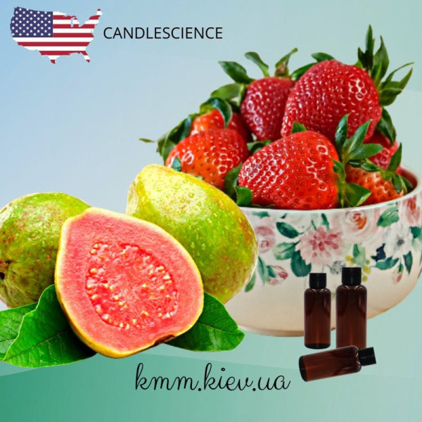 Віддушка Полуниця та Гуава США (Сandlescience) 5 мл