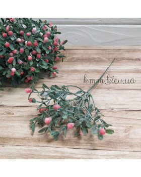 Самшит матовий з бутонами Прованс гілка декоративна в асортименті - Білий-foto6