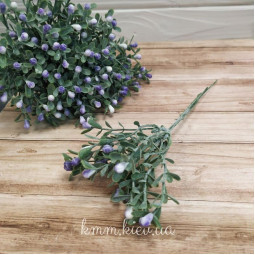 Самшит матовий з бутонами Прованс гілка декоративна в асортименті - Білий-foto3