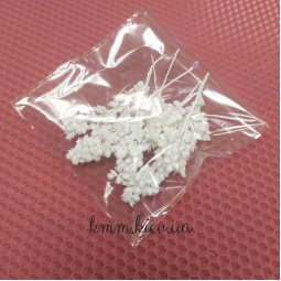 Суданка Кремовая стабилизированная сухоцвет (5 г)-foto2