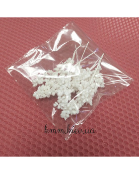 Суданка Кремова стабілізована сухоцвіт (5 г)-foto2