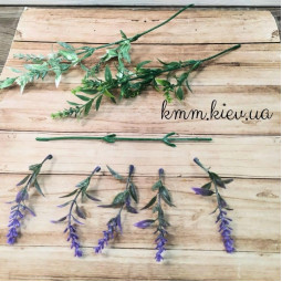 Лаванда дрібна декоративна (біла, зелена, лавандова) - гілка, Лавандовий-foto2