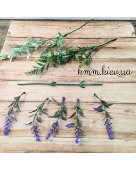 Лаванда дрібна декоративна (біла, зелена, лавандова) - гілка, Лавандовий-foto2