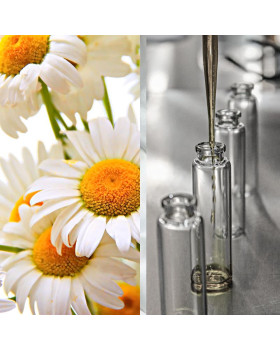 Гідролат ромашки Болгарія - 50 г