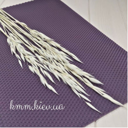 Овес выбеленный сухоцвет (1шт, 3шт) - 1 шт.-foto2