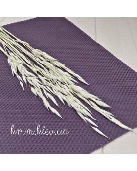 Овес вибілений сухоцвіт (1шт, 3шт) - 1 шт.-foto2