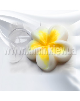 Пластиковая форма Плюмерия