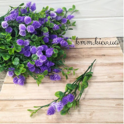 Хміль фіолетовий з довгим листям декоративний - гілка. Хміль фіолетовий з довгим листям декоративний - гілка.